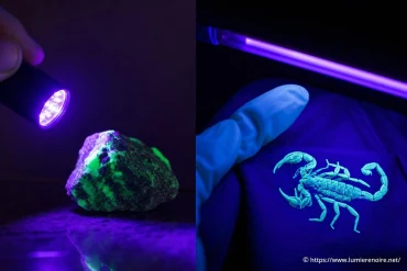 Lumière UV ou lumière noire : quelle différence ?