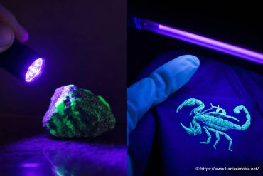 Lumière UV ou lumière noire : quelle différence ?