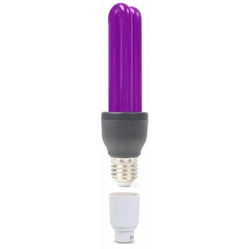 Ampoule lumière noire