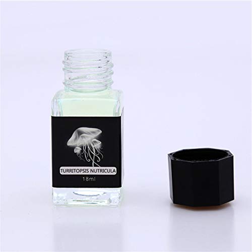 Generic 18 ML Invisible Disparition Ink Secret Message Write