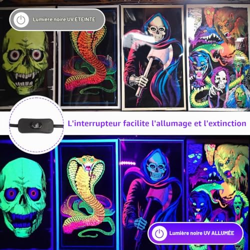 MEEKBOS Projecteur LED UV 300W, Lumière Noire 395 nm, IP65 É