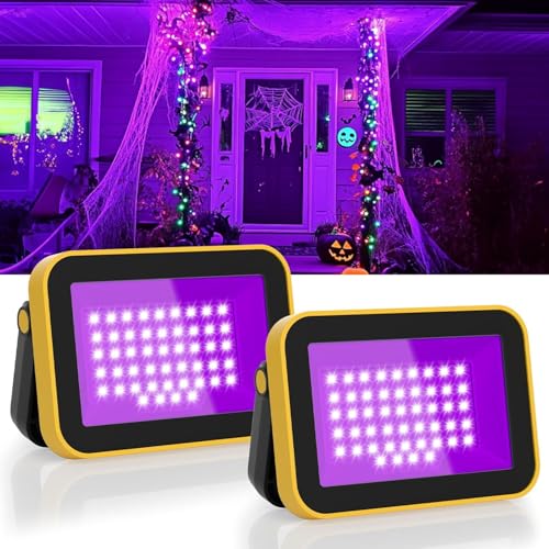 Spot à Lumière Noire