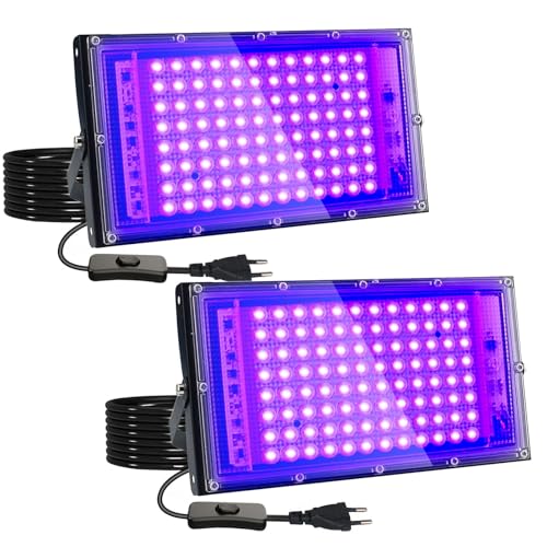 Spot à Lumière Noire